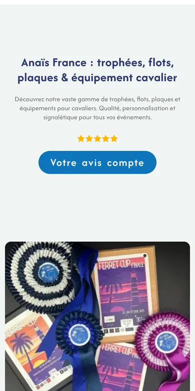 Le site d'Anaïs France sur téléphone