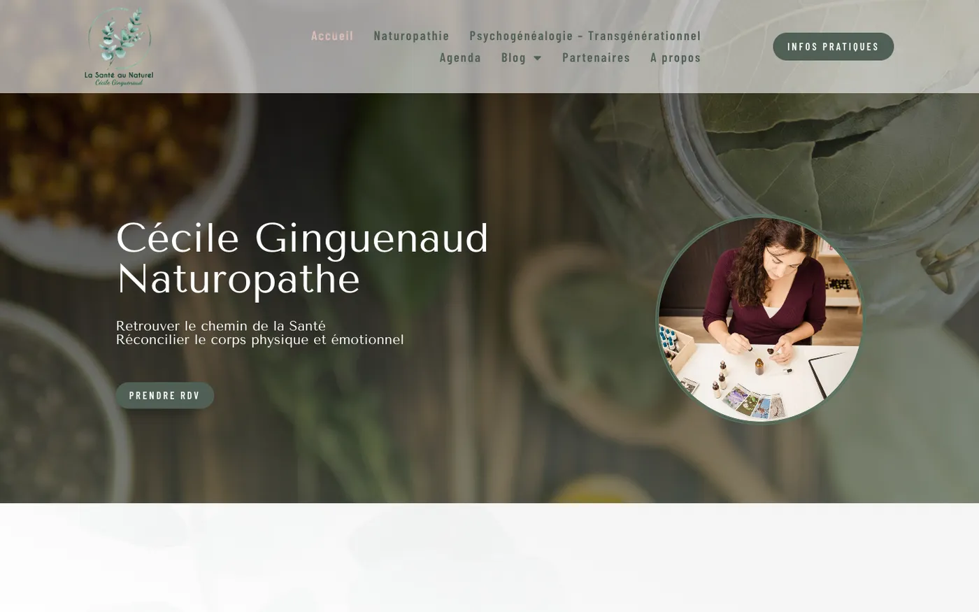 Page d'accueil du site de Cécile Ginguenaud sur ordinateur