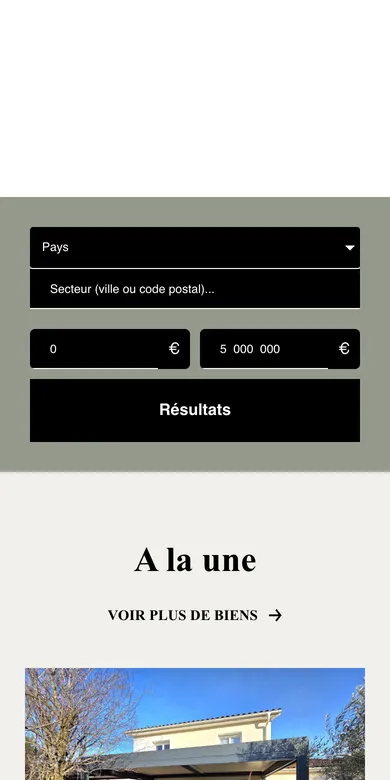 Le site de David Seixeiro sur téléphone