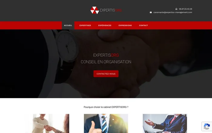Page d'accueil du site d'Expertiso