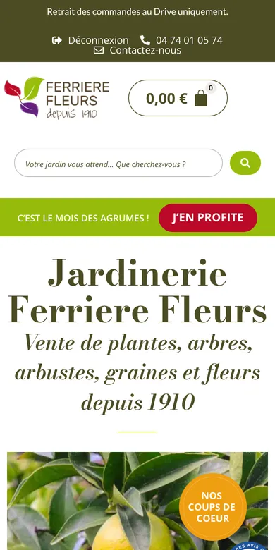 Le site de Ferrière Fleurs sur téléphone