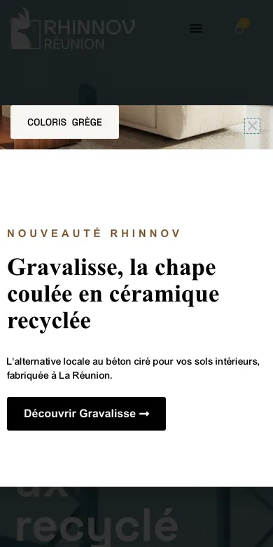 Le site de Rhinnov sur téléphone