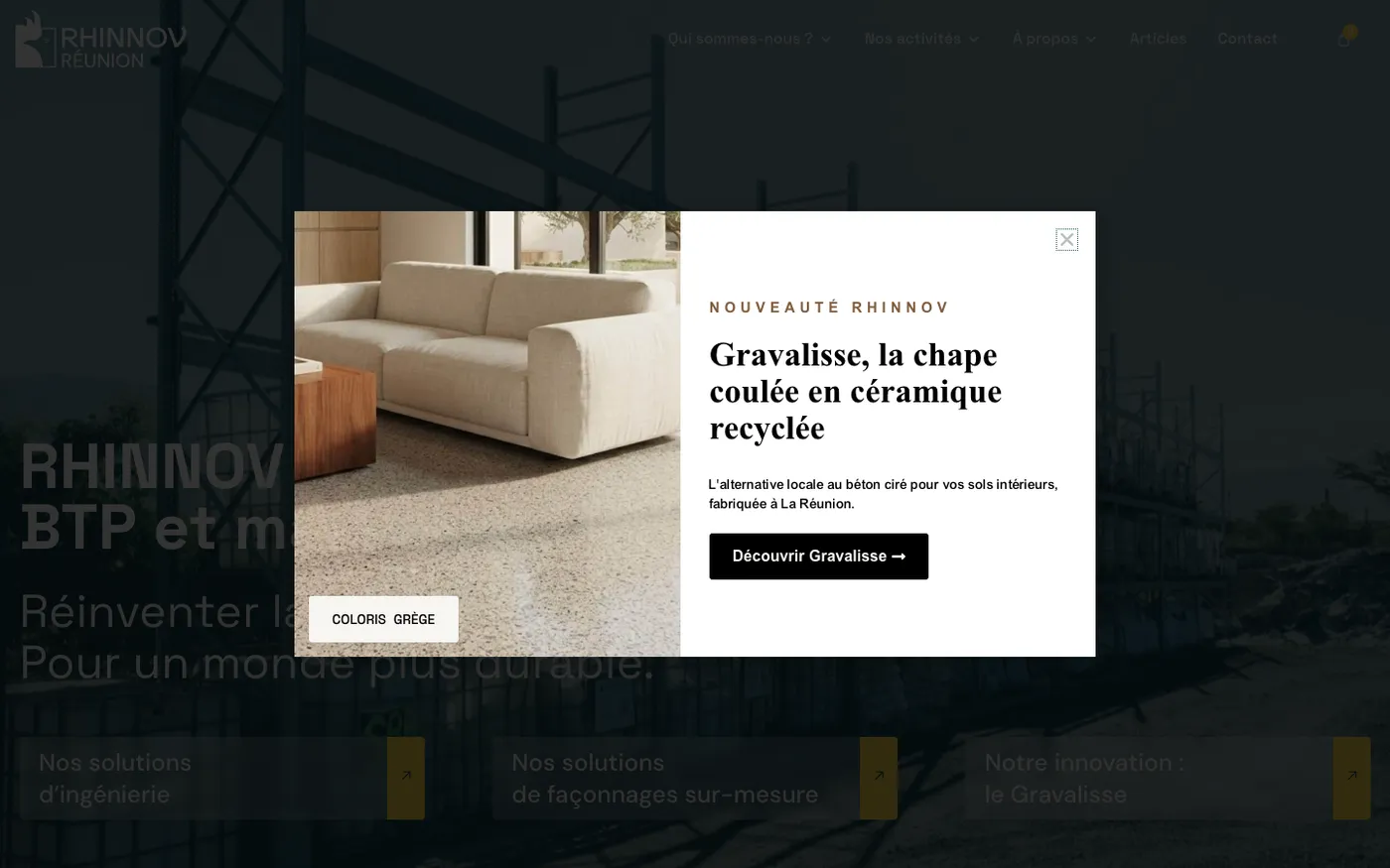 Page d'accueil du site de Rhinnov sur ordinateur