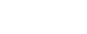 STERE Business Intelligence