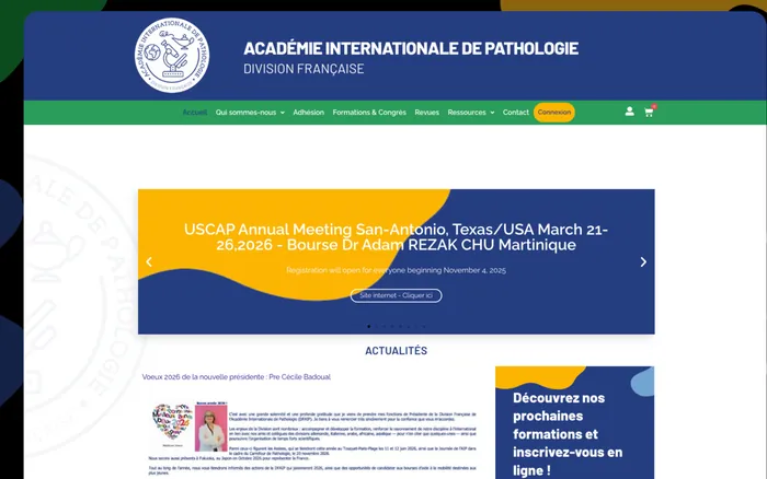 Page d'accueil du site d'AIP-DF