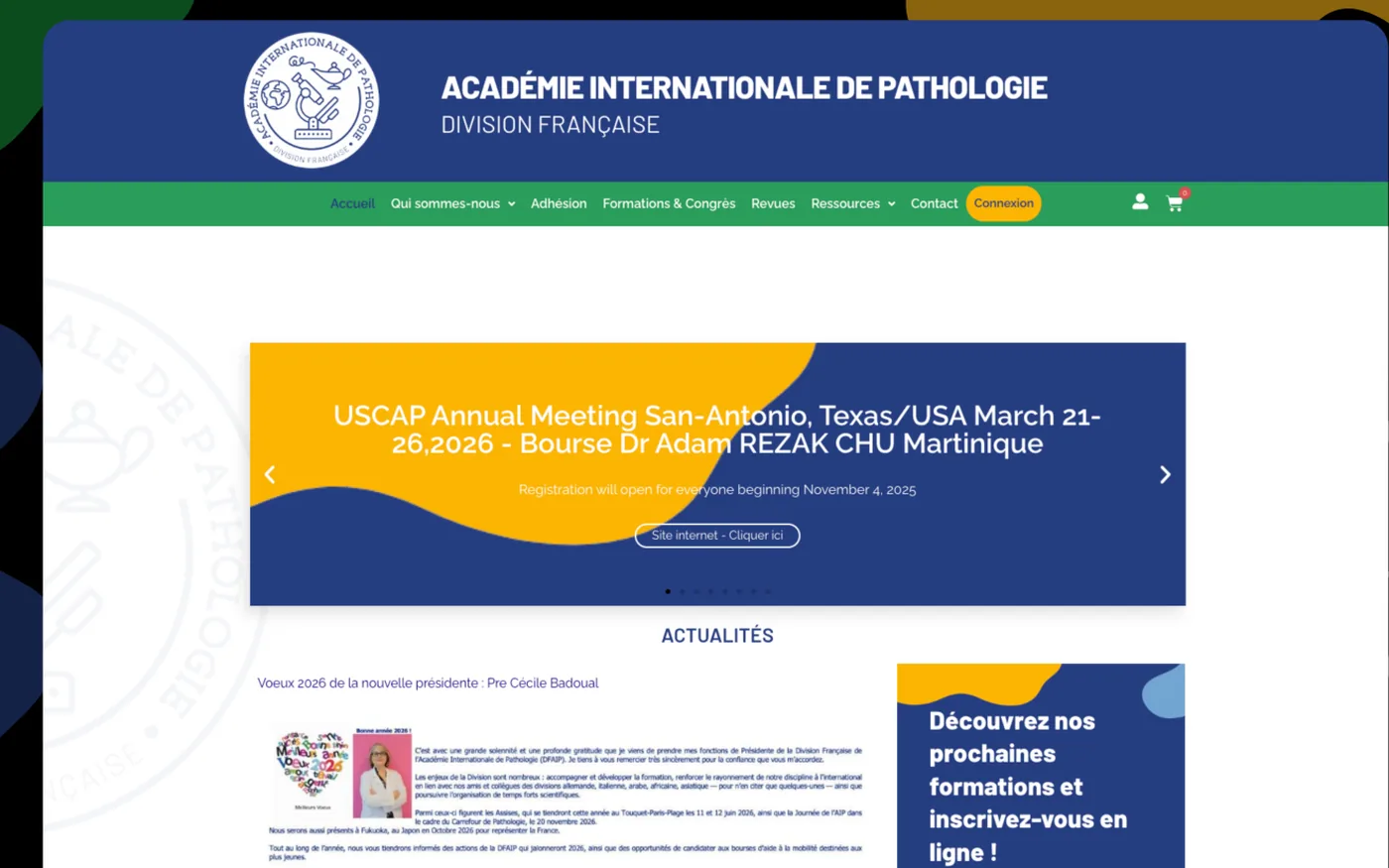 Page d'accueil du site d'AIP-DF sur ordinateur